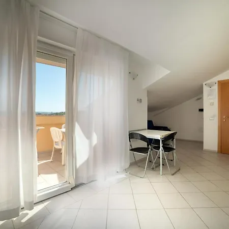 Rex קאטוליקה